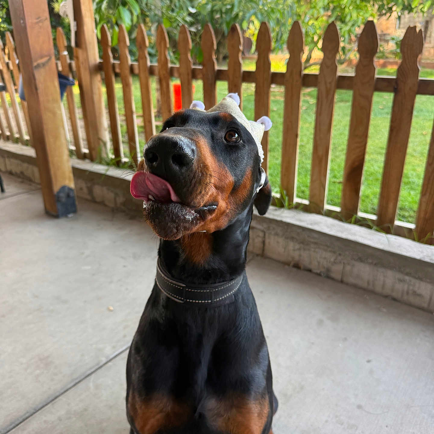 Pagos