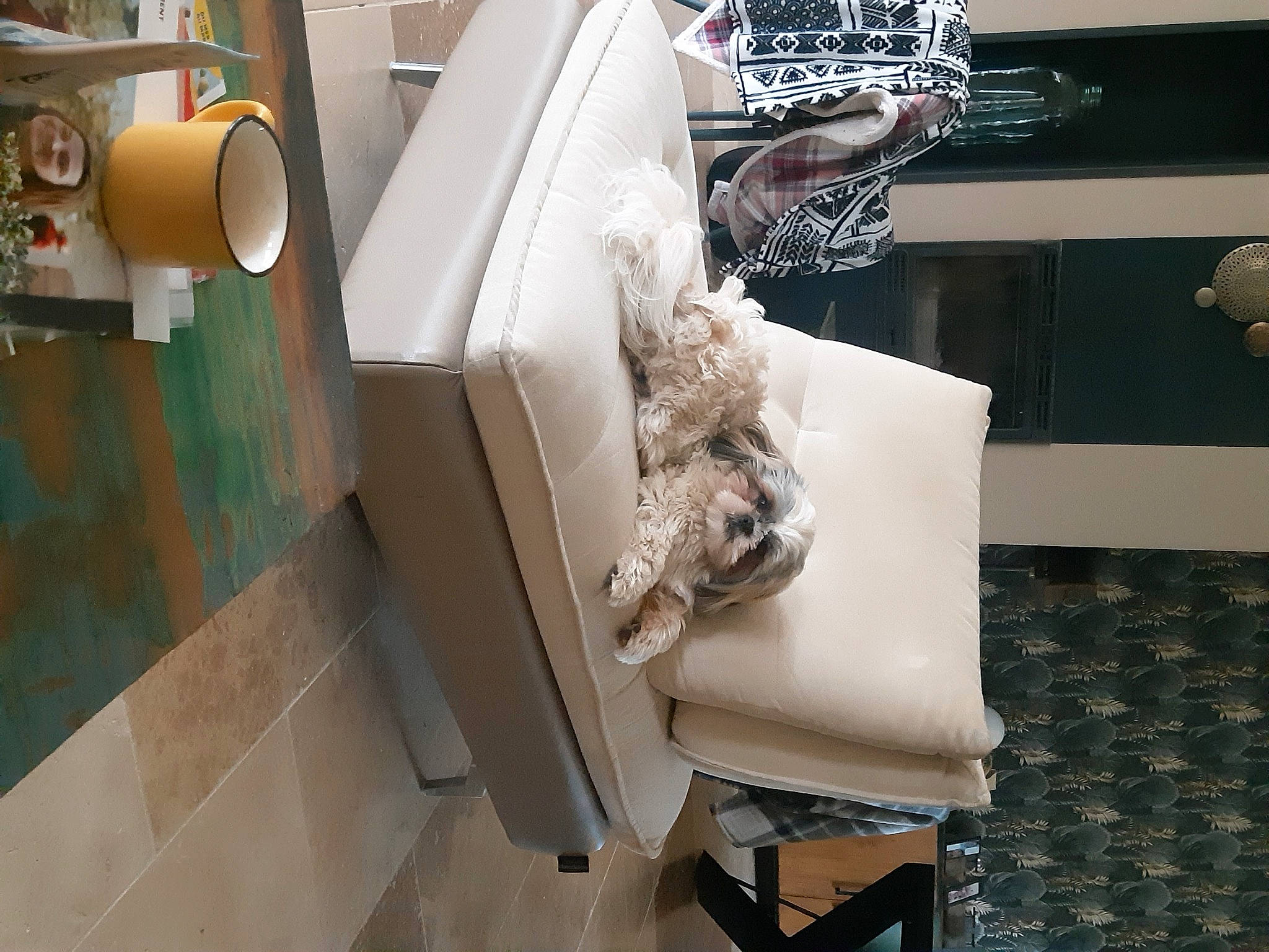 Totem participe au concours pour gagner de l'argent avec cette photo : automotive_design, flooring, gas, machine, motor_vehicle, room, shipping_box, wood