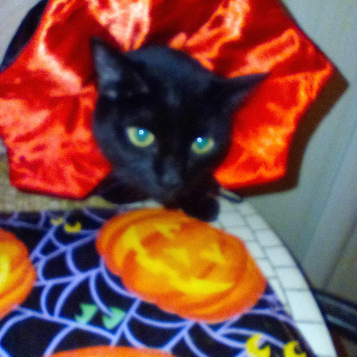 Spooky
