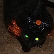 Spooky is registered to the contest to win money with this photo: accessory, animal, black_cat, bow, carpet, cat, cute, dark, glowing_eyes, green_eyes, indoors, living_room, low_light, lying_down, pet, photograph, portrait, sitting, smartphone_screenshot, sparkly