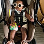 baby, car_seat, sunglasses, toy, sandals, floor, straps, clothing, person, child, indoor, accessory, footwear, seat, hand, legs, headwear, cute, infant, stroller