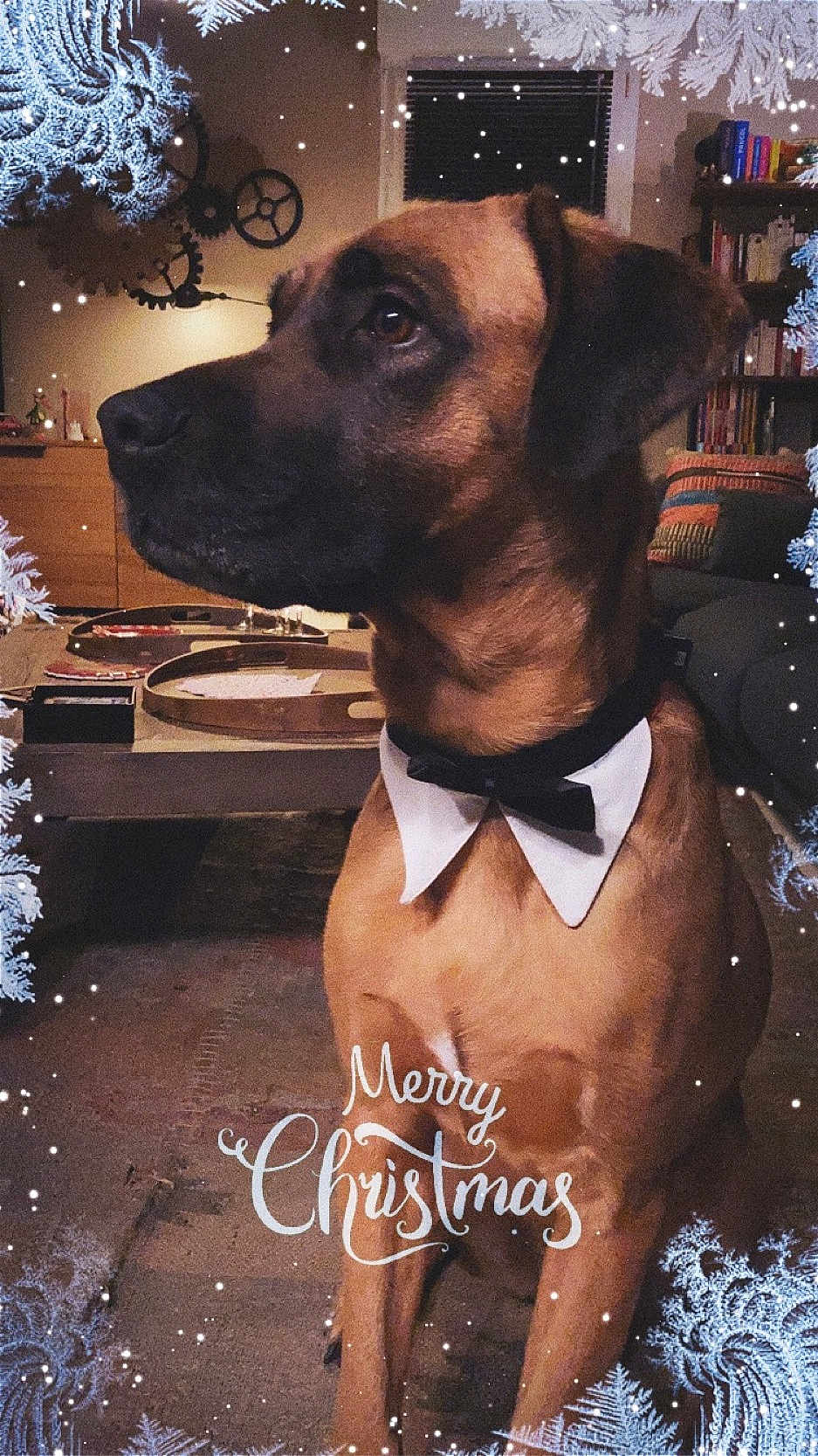 Zak