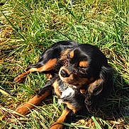 Nina a rejoint le concours — aidez-le/la à gagner de superbes lots !