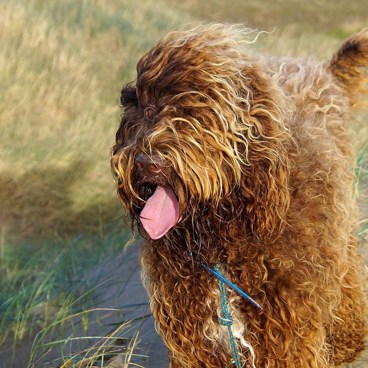 Imac Du Soleil Du Ventoux