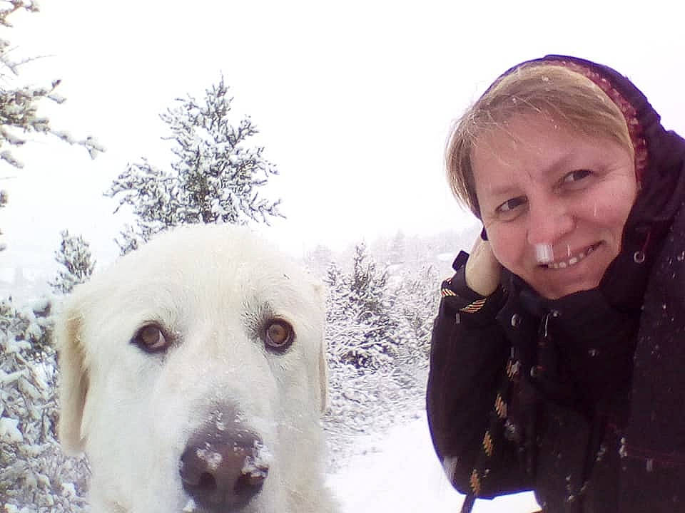 Bell a rejoint le concours — aidez-le/la à gagner de superbes lots ! akbash_dog, canidae, carnivore, central_asian_shepherd_dog, dog, dog_breed, freezing, great_pyrenees, joy, livestock_guardian_dog, mammal, maremma_sheepdog, nose, person, polish_tatra_sheepdog, retriever, slovak_cuvac, snout, snow, sporting_group