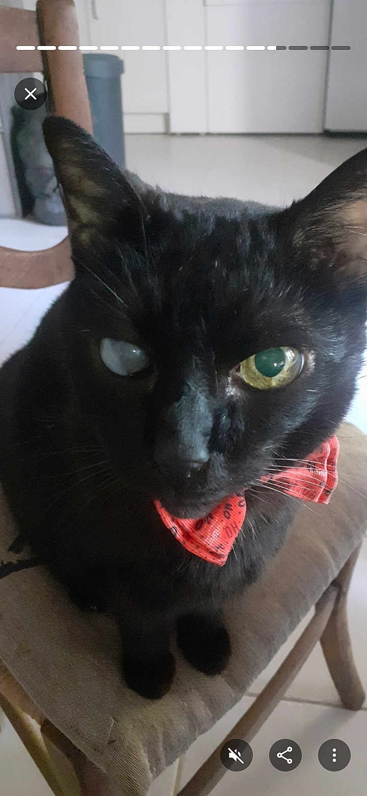 Rory