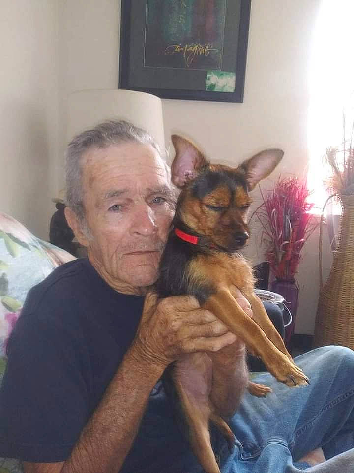 Pepper joined the competition — help win amazing prizes! canidae, carnivore, comfort, companion_dog, curtain, dog, dog_breed, ear, east_european_shepherd, event, fawn, fur, german_shepherd_dog, king_shepherd, old_german_shepherd_dog, picture_frame, sitting, sporting_group, television, working_dog