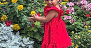 Alaïa joined the competition — help win amazing prizes! braided_hair, child, colorful, curious, flowers, footpath, garden, greenery, happy, nature, outdoor, plants, portrait, red_dress, side_view, smiling, summer, sunlight, toddler, young_child